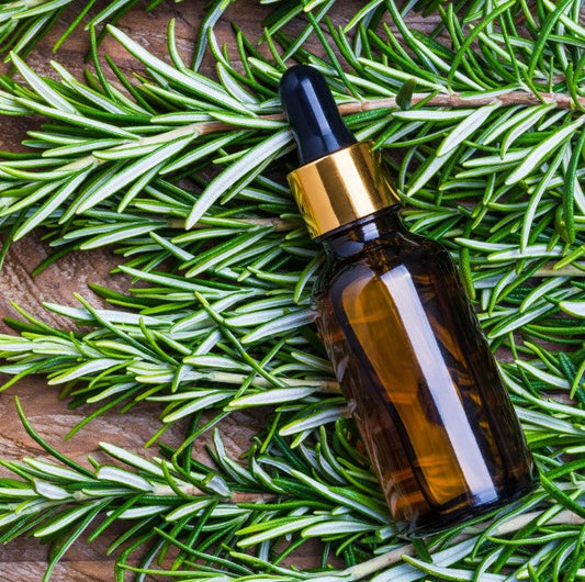 How to Use Rosemary Oil for Hair Growth: The Secrets Unlocked