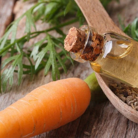 Everything You Need to Know About Carrot Oil for Hair