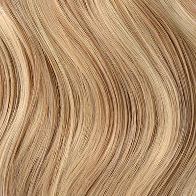 Biscuit Blondey (#18/613)