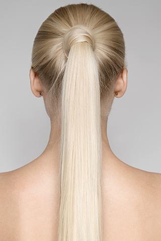 <h4>Clip In Ponytail</h4>