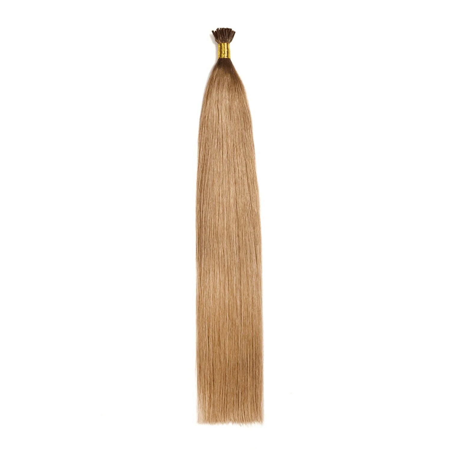 Remy Royale I Tips Lightest