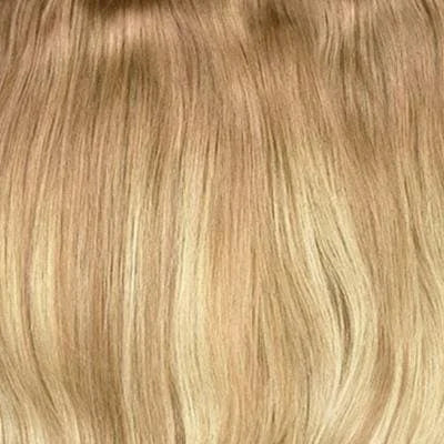 Biscuit Blondey Balayage shade snippet