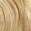 Light Ash Blonde (#22) colour snippet