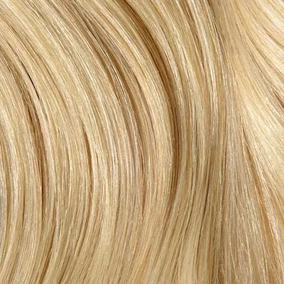 Light Ash Blonde (#22) shade snippet
