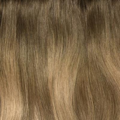 Soft Bronze Balayage One Piece Clip In Hair Extensions (Top-Up)