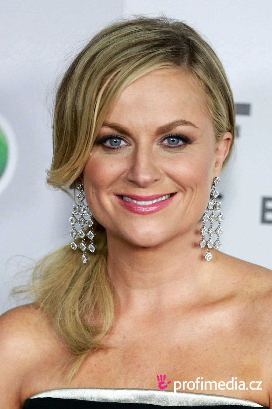 cliphair-extensions-amy-poehler